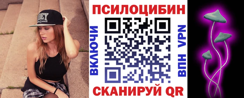 блэк спрут как зайти  купить наркотик  Лысково  Галлюциногенные грибы мицелий 